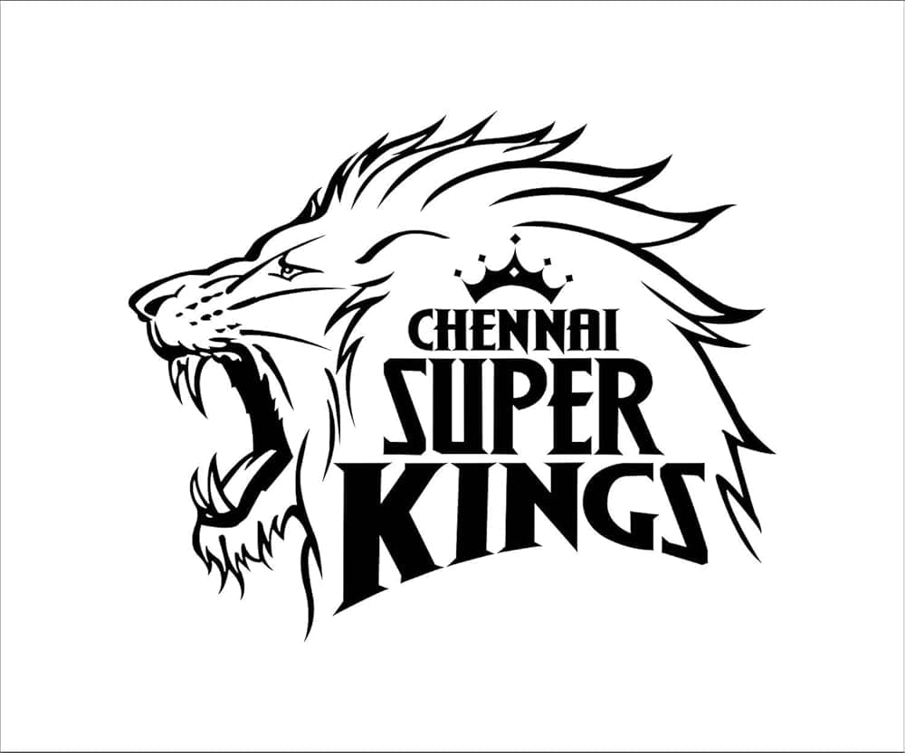 CSK Share Price Analysis 2026–2030 | CSK Unlisted Share Price & Future Outlook