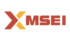 MSEI logo