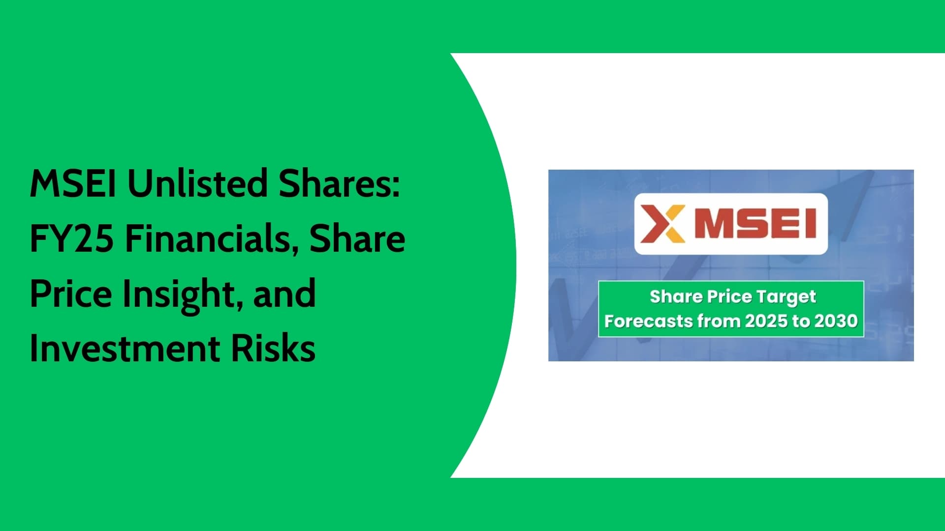 MSEI Unlisted Shares FY25 Financials | Share Price & Investment View