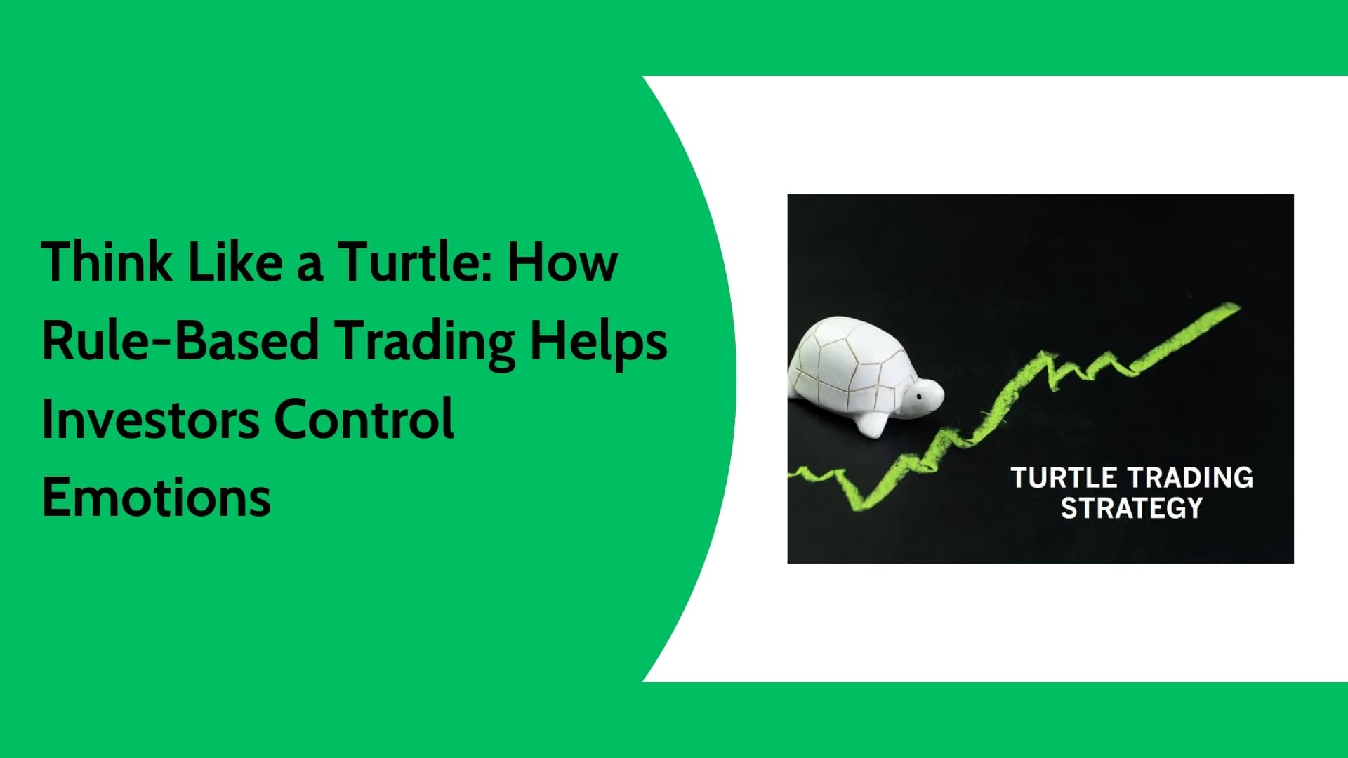 Turtle Trading Strategy Explained | Rules, Algo Trading & Trailing Stop
